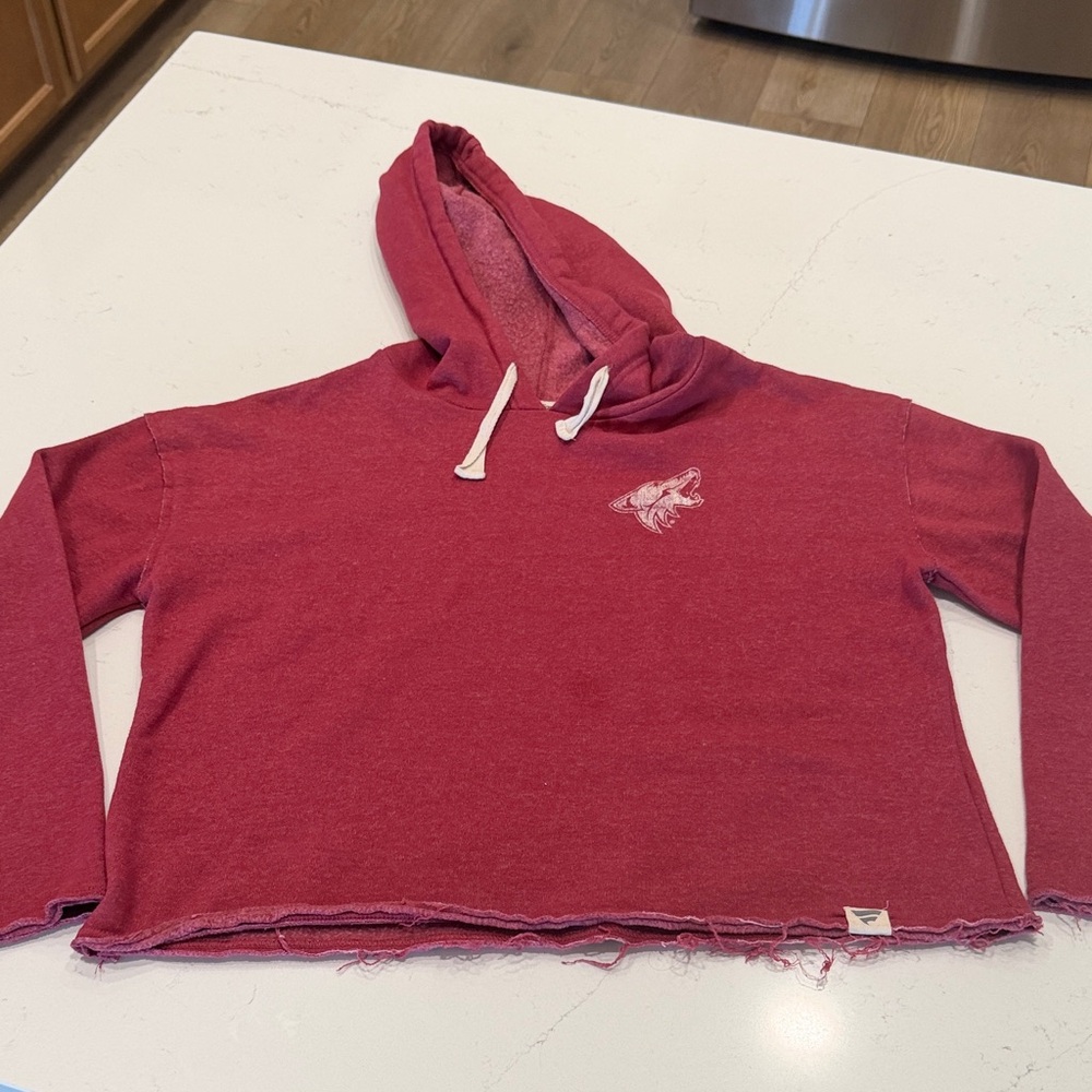 Fanatics Arizona Coyotes Hoodie Sweater